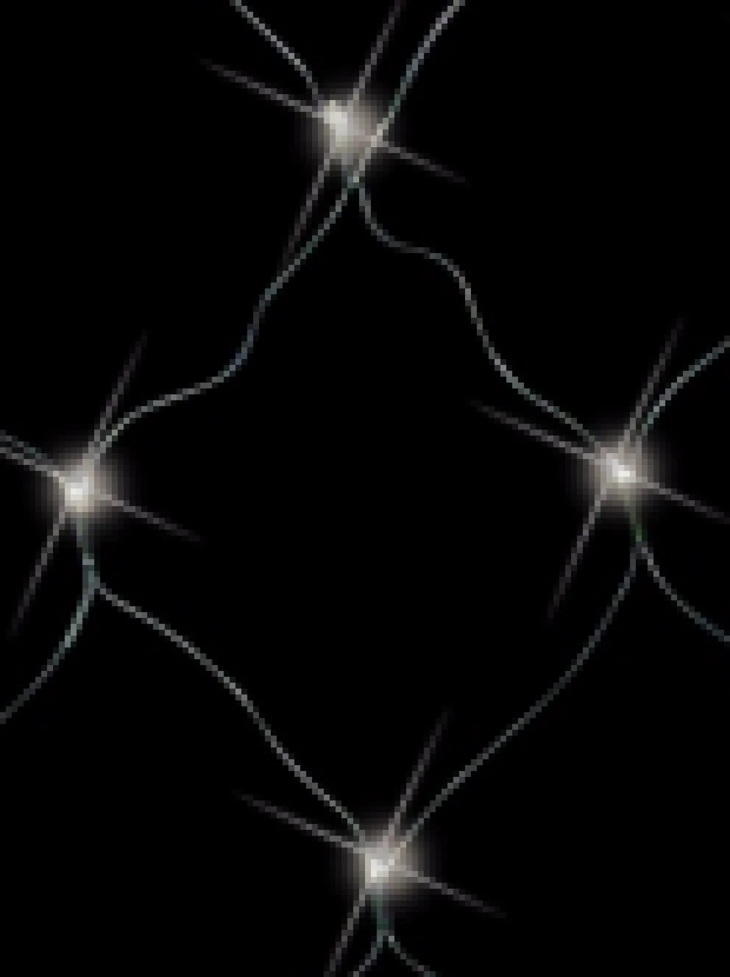 Christmas Warehouse 96 Cool White Led Concave Bulb Christmas Net Light - 1.3M X 2.1M> Net Lights