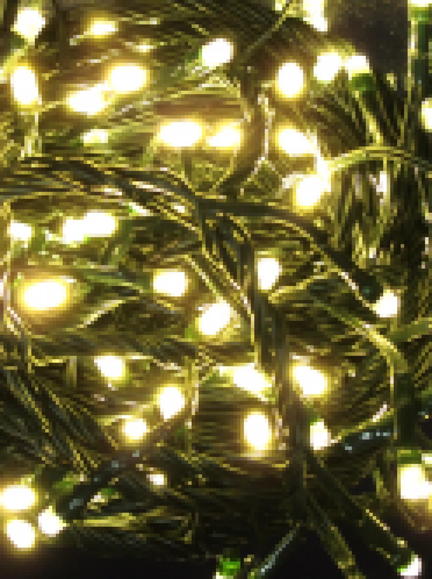 Christmas Warehouse 500 Warm White Led Concave Bulb Christmas Fairy String Lights - 25M> Led Fairy Lights