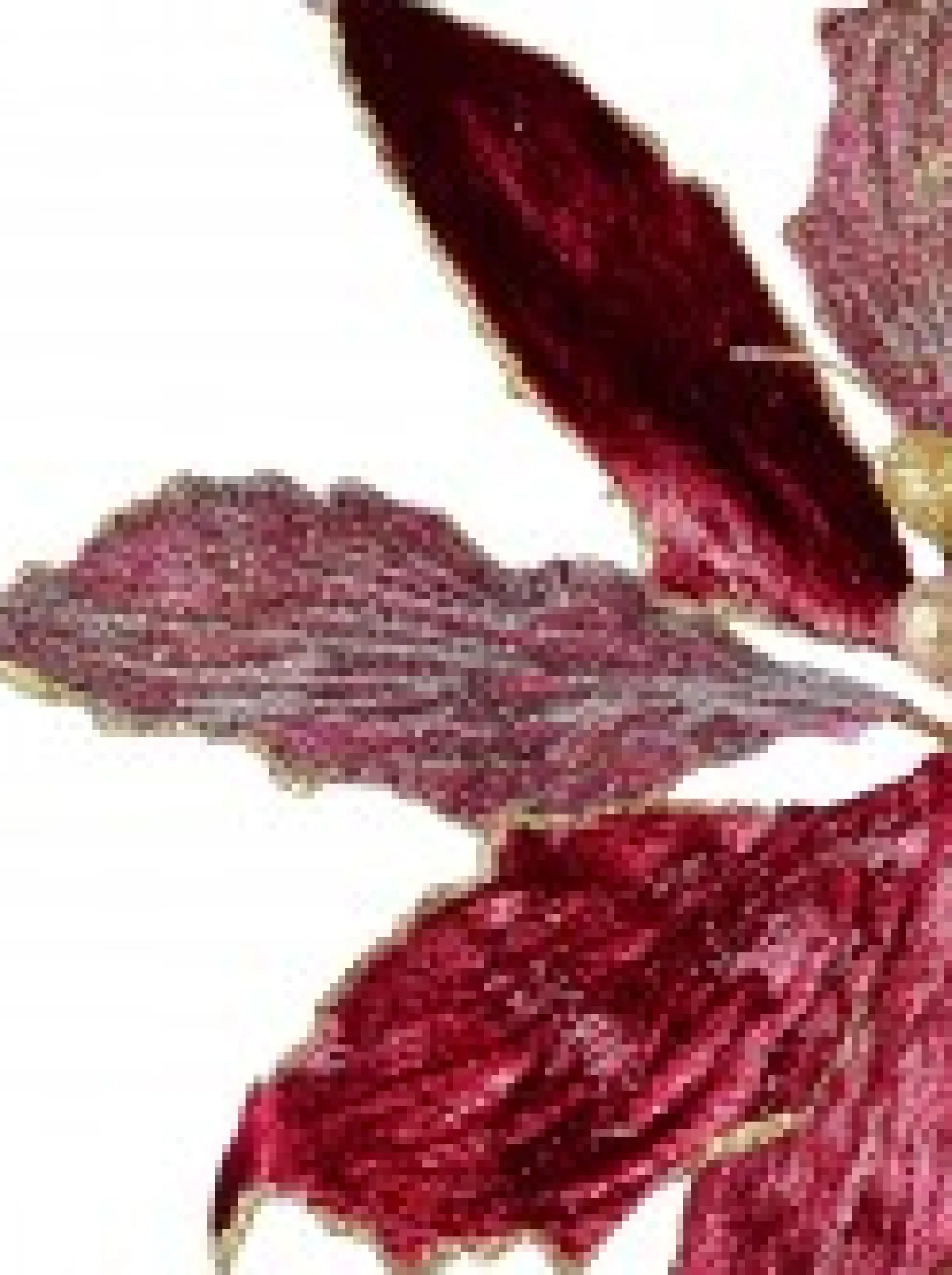 Christmas Warehouse Burgundy With Gold Stamen Poinsettia Decorative Christmas Flower Pick - 26Cm> Christmas Picks