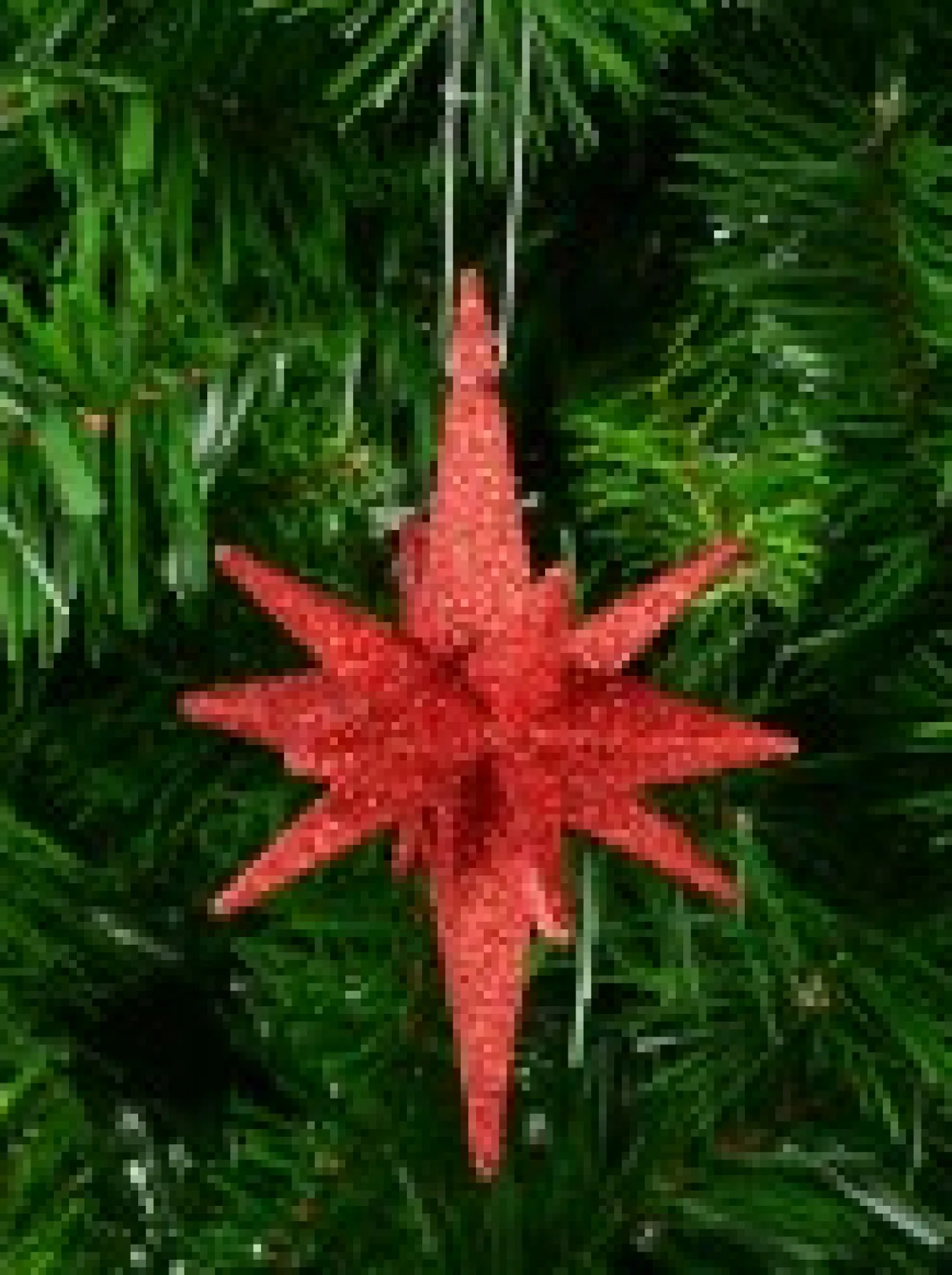 Christmas Warehouse Glittered Red 3D Star Of Bethlehem Christmas Tree Hanging Decoration - 14Cm> Hanging Decorations - Individual