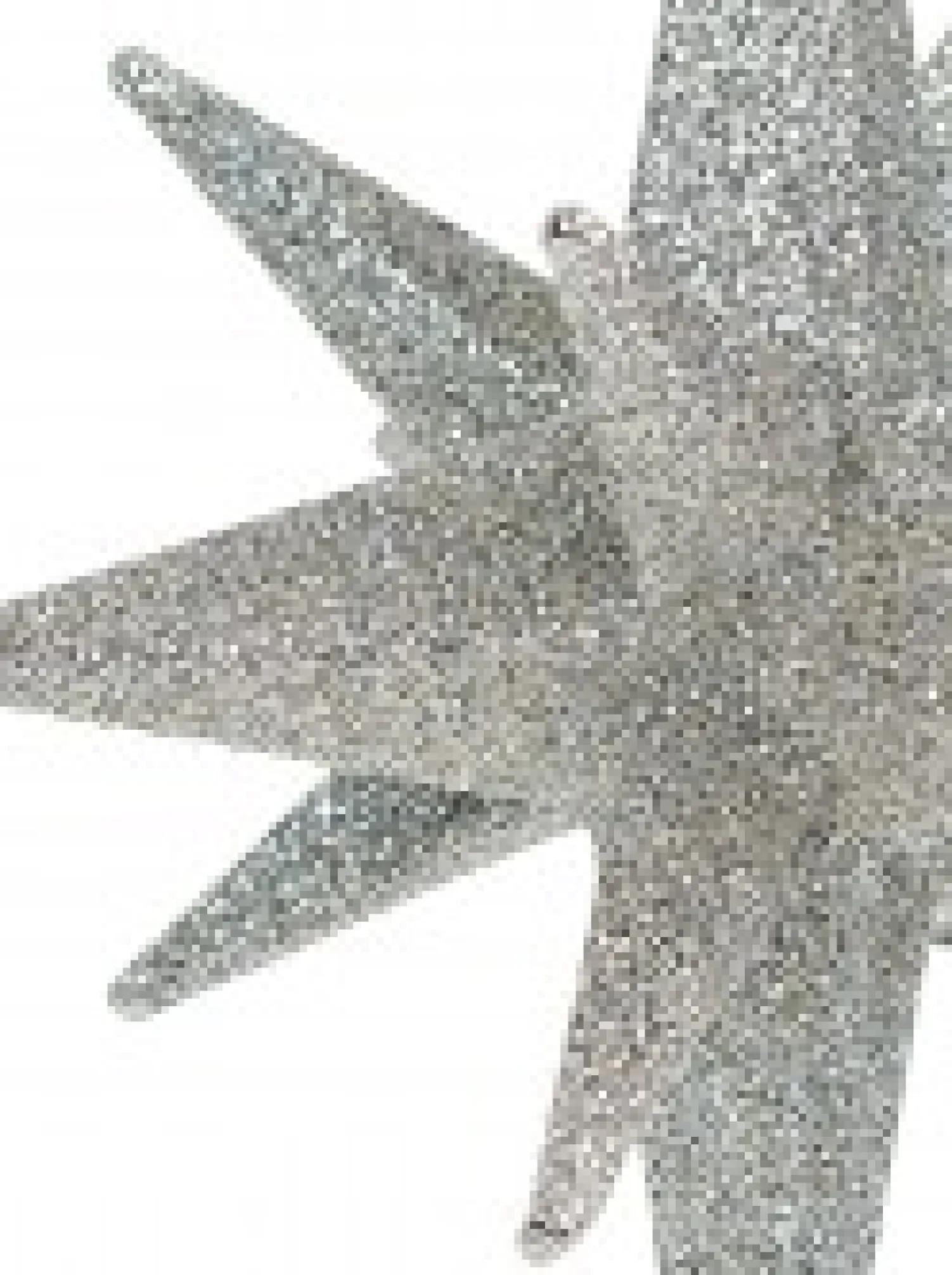 Christmas Warehouse Glittered Silver 3D Star Of Bethlehem Christmas Tree Hanging Decoration - 14Cm> Hanging Decorations - Individual