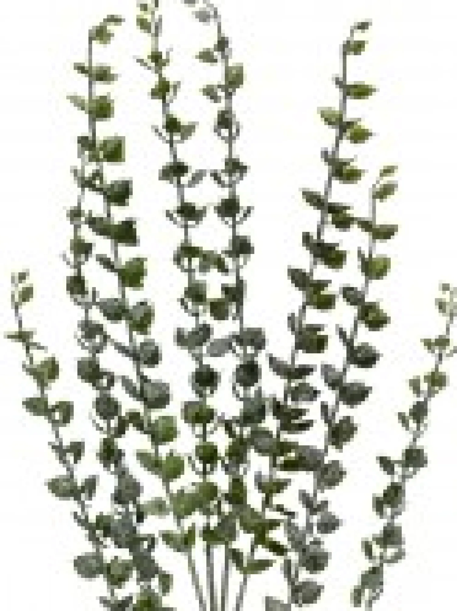 Christmas Warehouse Green Baby Blue Eucalyptus Leaves Decorative Christmas Spray Stem - 80Cm> Christmas Stems