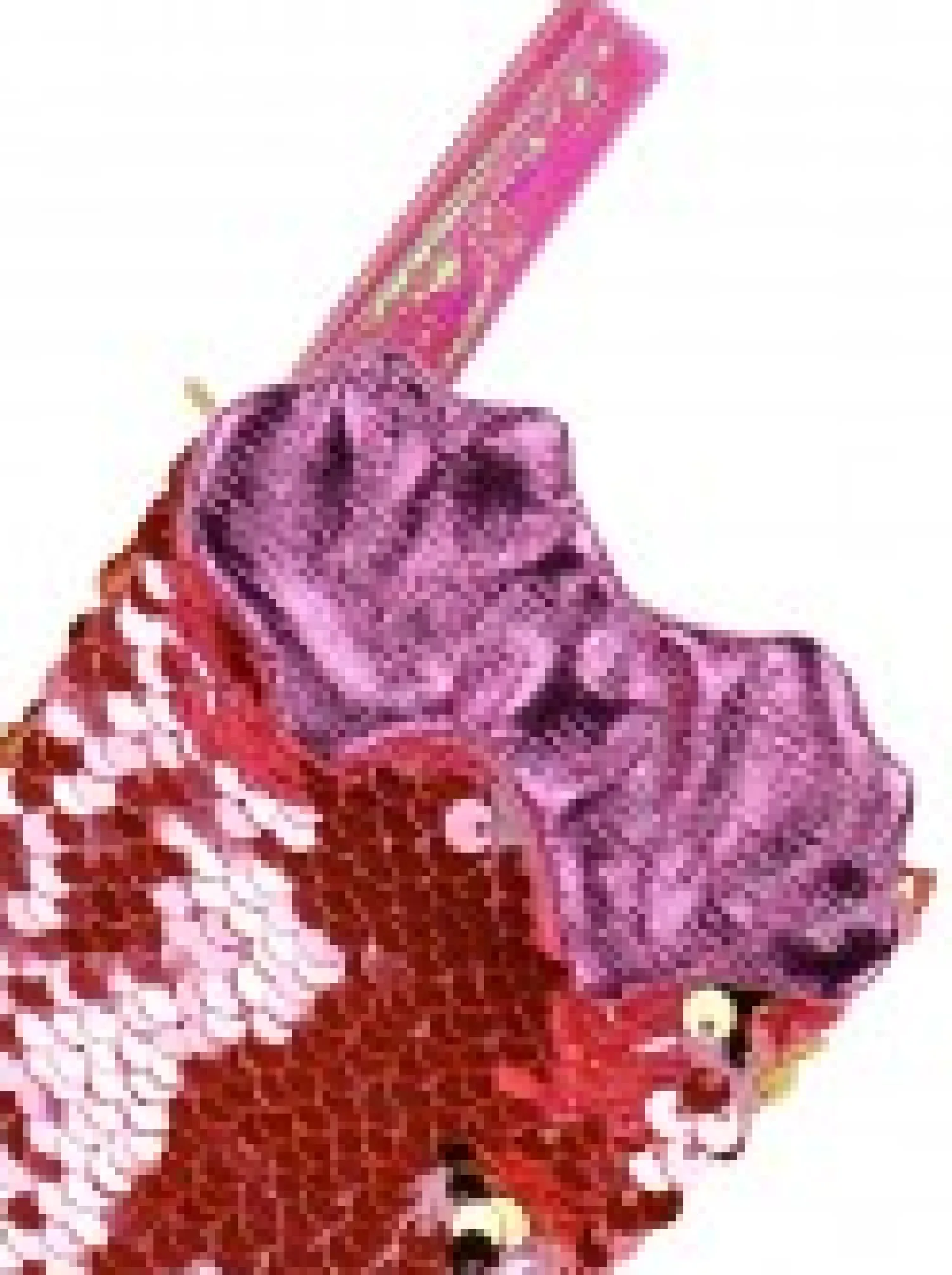 Christmas Warehouse Mini Mermaid Tail With Pink Sequins Christmas Stockings - 3 X 20Cm> Christmas Stockings