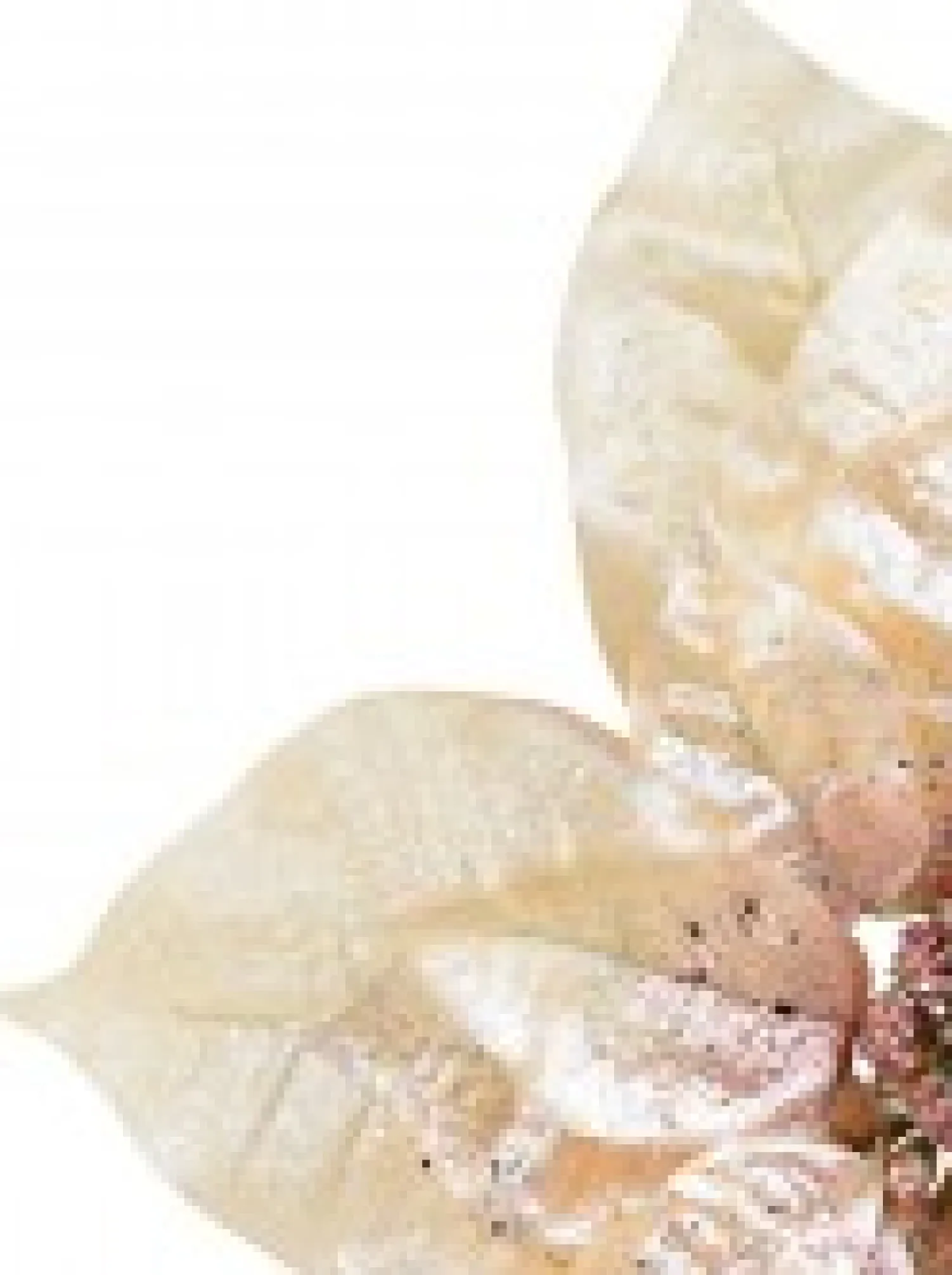 Christmas Warehouse Peach Pink With Rose Gold Poinsettia Decorative Christmas Flower Pick - 22Cm> Christmas Picks