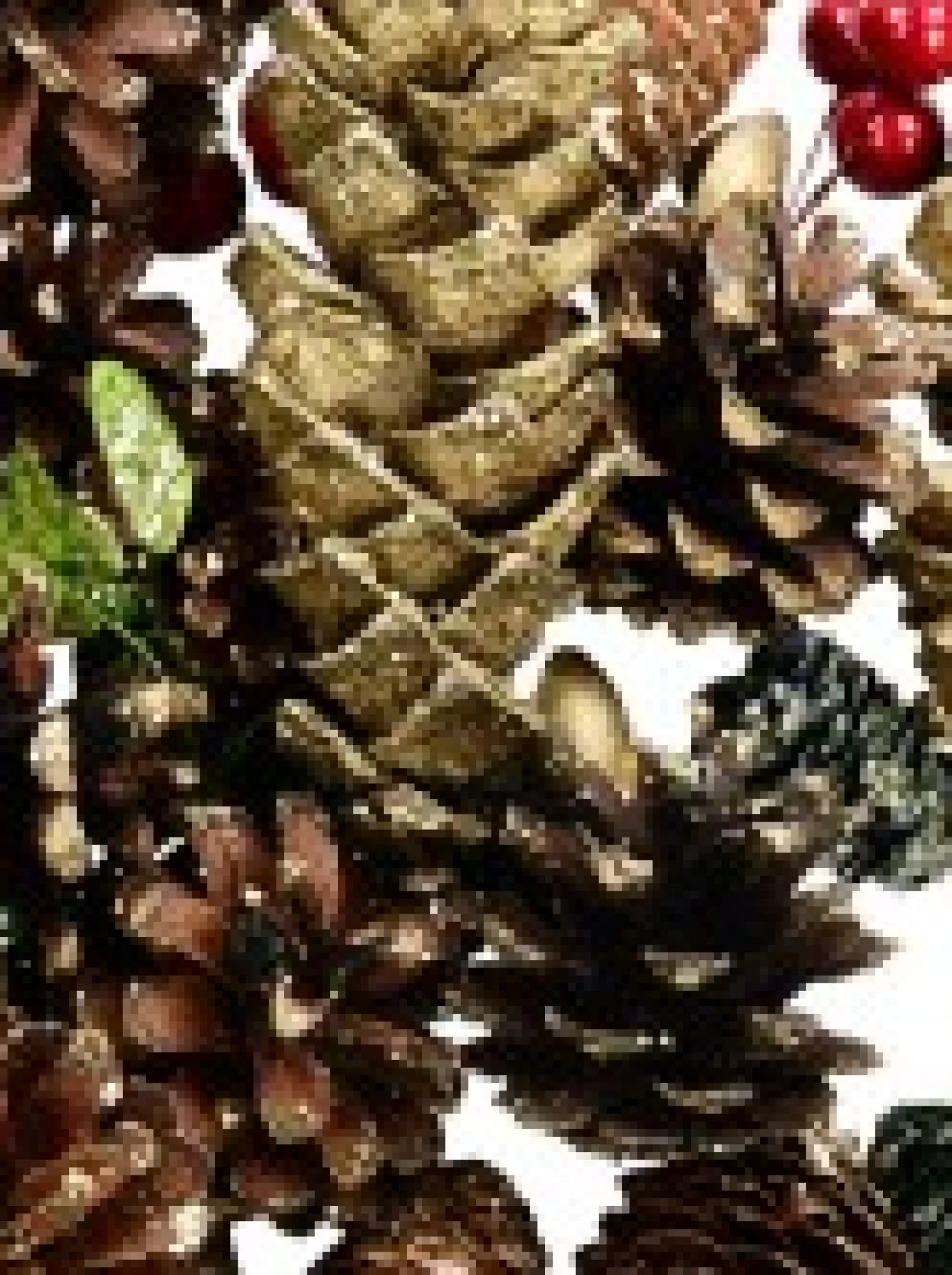 Christmas Warehouse Pine Cones, Stars, Berries & Leaves Assorted Christmas Decoration Mix - 300G> Natural Christmas Decorations