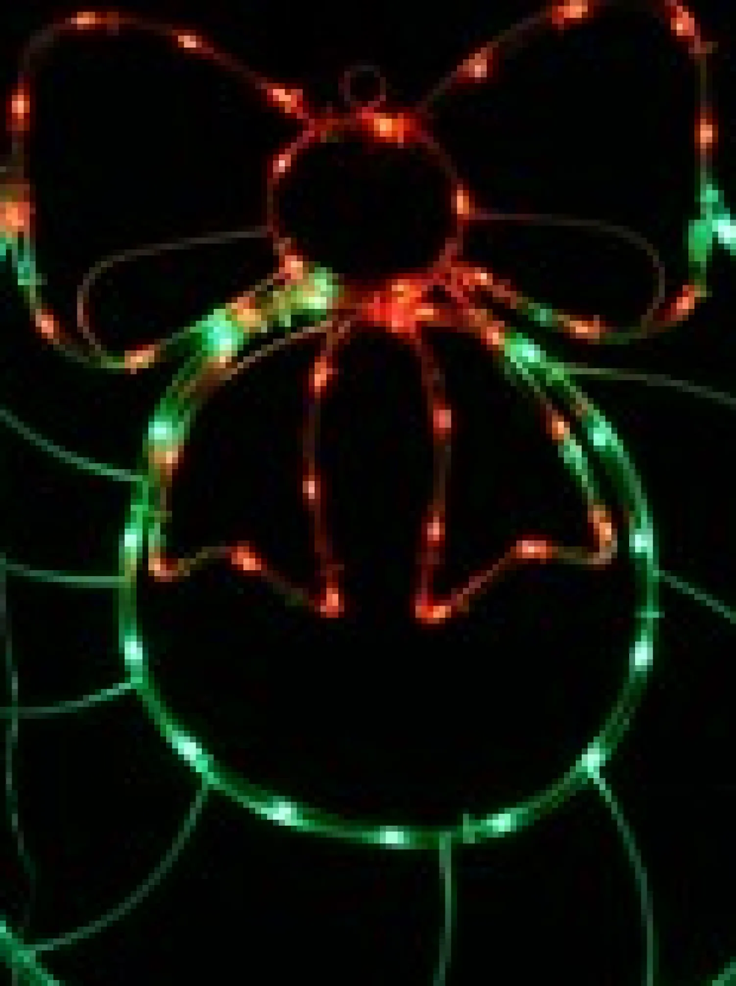 Christmas Warehouse Red & Green Led Wreath With Bow Noodle Rope Light Silhouette - 50Cm> Christmas Light Displays