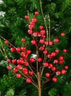Christmas Warehouse Red Berry & Branches With Frost Look Decorative Christmas Spray Stem - 68Cm><noscript><img width=