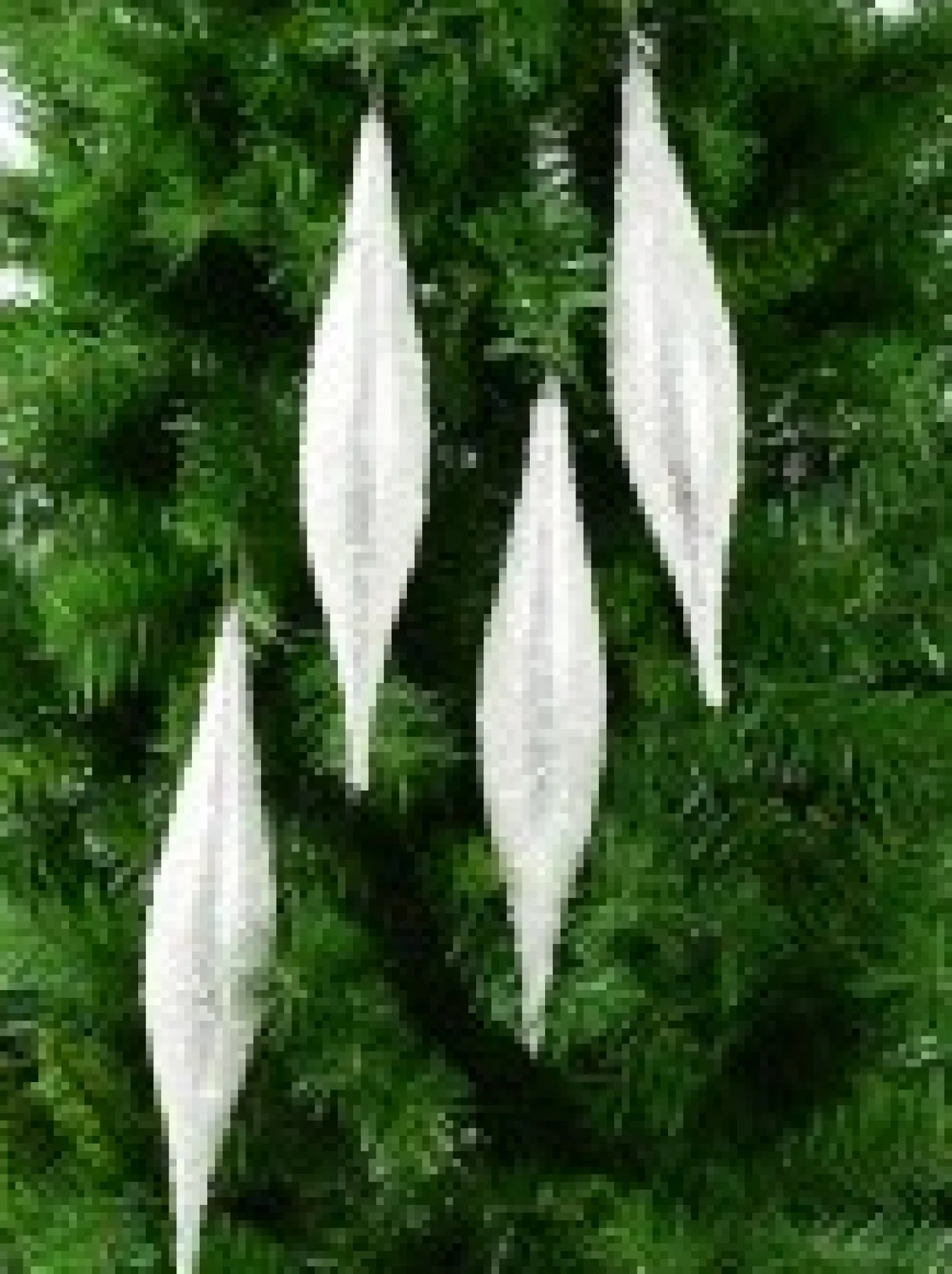 Christmas Warehouse Silver With Frost Look Pine Cone Shape Bauble Hanging Decorations - 4 X 33Cm> Hanging Decorations - Packs