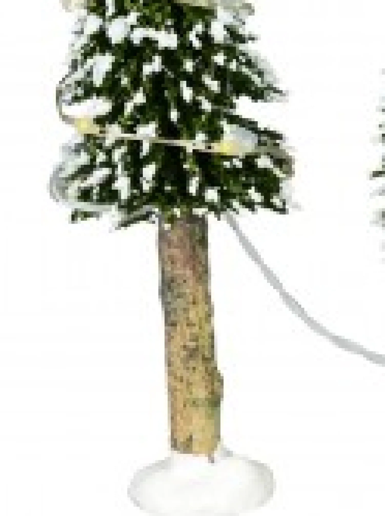 Christmas Warehouse Snow Flocked Illuminated Pine Tree Christmas Village Figurines - 3 X 19Cm> Christmas Village Figurines