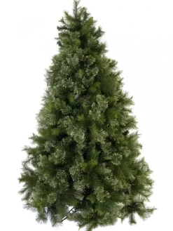 Christmas Warehouse Stratford Mixed Pine Traditional Christmas Tree With 2025 Tips - 2.3M> Traditional Christmas Trees